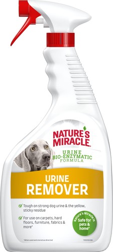 Dog urine stain odour - &,