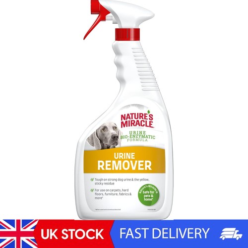 Dog urine stain odour - dog,