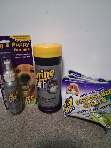 Urine off dog puppy - dog,