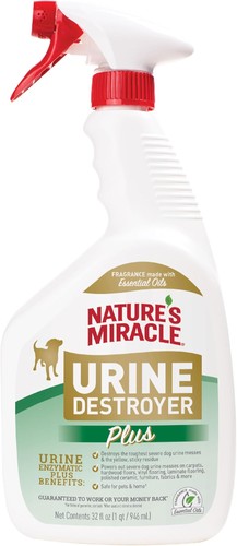 Enzymatic dog urine destroyer