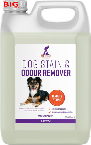 Dog urine odour - urine,
