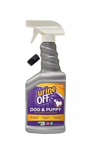 Urine off dog - dog, puppy
