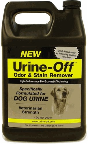 Urine off dog puppy ordor - off,