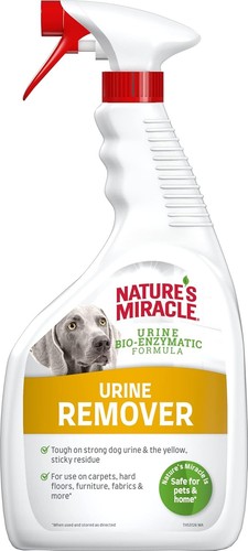 Dog urine stain odour - urine, &