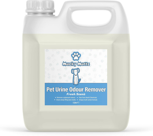 Pet urine odour stain - pet,