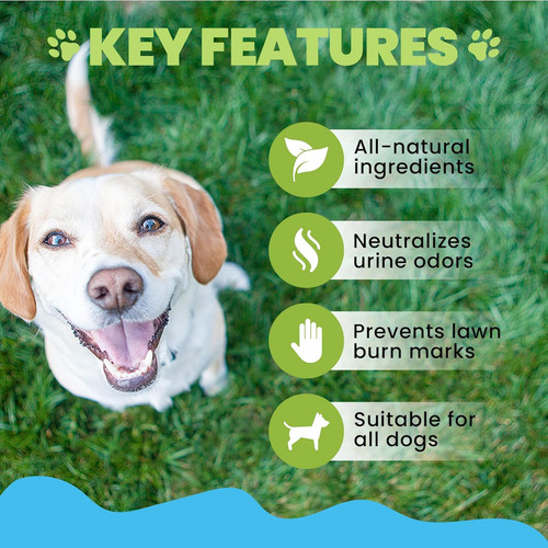 Dog urine neutraliser - dog,