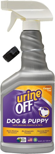 Urine off dog - dog, stain