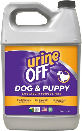 Dog puppy stain and odour - &,
