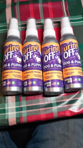 Urine off dog - puppy, stain