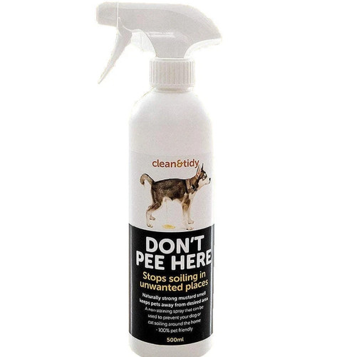 Clean tidy dog cat urine - cat,