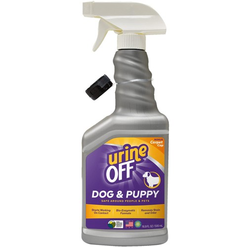Dog urine stain remover - dog,