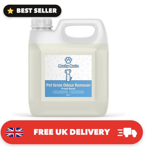 Pet urine odour - urine,