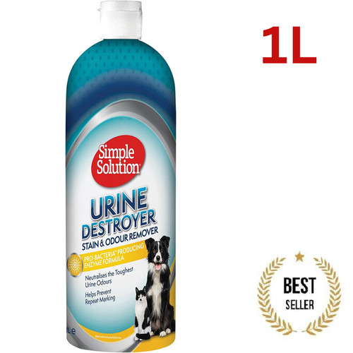 Simple solution dog - cat, pet