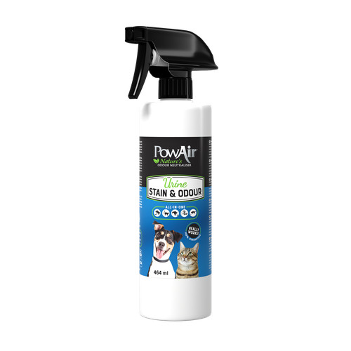 Pet urine stain and - stain, odour